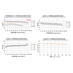Winston Battery Cell 60Ah 3.3V LiFeYPO4 (TSWB-LYP60AHA)